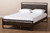 Inicio Modern And Contemporary Ash Brown Finished Wood Queen Size Platform Bed Inicio-Queen