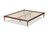 Iseline Modern And Contemporary Walnut Brown Finished Wood Queen Size Platform Bed Frame MG0001-Ash Walnut-Queen