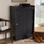 Leone Modern And Contemporary Charcoal Finished 2-Door Wood Entryway Shoe Storage Cabinet WI5377-Dark Grey