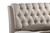 Ainge Button-Tufted 2-Drawer Storage King Bed BBT6423-Light Beige-King