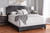 Dark Grey Velvet Upholstered Queen Size Bed Darcy-Grey-Queen