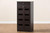 Acadia Modern And Contemporary Shoe Cabinet MH27202-Wenge-Shoe Rack