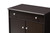 Dariell Modern And Contemporary Shoe Cabinet MH7021-Wenge-Shoe Rack