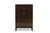 Felda Dark Brown Shoe Cabinet with 2-Door and Drawer SC864598-Wenge