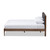 Jupiter Button-Tufted King Platform Bed SW8085-Walnut-M17-King