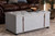 Kyra Modern And Contemporary Grey Fabric Upholstered Storage Trunk Ottoman JY19A212-Grey-Otto