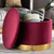 Marisa Glam And Luxe Red Velvet Fabric Upholstered Gold Finished Storage Ottoman JY19A221-Red/Gold-Otto