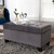 Michaela Modern And Contemporary Grey Velvet Fabric Upholstered Storage Ottoman Ws-20091-Grey Velvet-Otto WS-20091-Grey Velvet-Otto By Baxton Studio