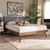 Alke Mid-Century Modern Light Grey Fabric Upholstered Walnut Brown Finished Wood Full Size Platform Bed SW8180-Light Grey/Walnut-M17-Full