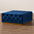 Verene Glam And Luxe Royal Blue Velvet Fabric Upholstered Gold Finished Square Cocktail Ottoman TSF-6690-Royal Blue/Gold-Otto