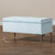Mabel Modern And Contemporary Transitional Light Blue Velvet Fabric Upholstered Silver Finished Storage Ottoman WS-20093-Light Blue Velvet/Silver-Otto