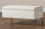 Mabel Modern And Contemporary Transitional Beige Velvet Fabric Upholstered Silver Finished Storage Ottoman WS-20093-Beige Velvet/Silver-Otto