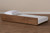 Midori Modern And Contemporary Transitional Walnut Brown Finished Wood Twin Size Trundle Bed MG0046-1-Walnut-Trundle