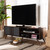 Naoki Modern And Contemporary Two-Tone Grey And Walnut Finished Wood 2-Door Tv Stand LV15TV15120-Columbia/Dark Grey-TV