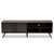 Naoki Modern And Contemporary Two-Tone Grey And Walnut Finished Wood 2-Door Tv Stand LV15TV15120-Columbia/Dark Grey-TV
