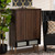 Landen Mid-Century Modern Walnut Brown And Gold Finished Wood 2-Door Entryway Shoe Storage Cabinet LV10SC10151WI-Columbia/Gold-Shoe Cabinet