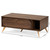 Edel Mid-Century Modern Walnut Brown And Gold Finished Wood Coffee Table LV12CFT12140WI-Columbia/Gold-CT
