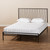 Jeanette Modern And Contemporary Black Finished Metal Queen Size Platform Bed TS-Ebba-Black-Queen