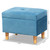 Elias Modern And Contemporary Sky Blue Velvet Fabric Upholstered And Oak Brown Finished Wood Storage Ottoman JY20A250-Sky Blue Velvet-Otto