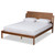 Giuseppe Modern And Contemporary Walnut Brown Finished King Size Platform Bed MG-0049-Ash Walnut-King
