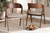 Danton Mid-Century Modern Beige Fabric Upholstered and Walnut Brown Finished Wood 2-Piece Dining Chair Set WM1900B-Latte/Walnut-DC