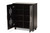 Renley Modern and Contemporary Black Wood 2-Door Shoe Storage Cabinet SESC260WI-Black-Shoe Cabinet