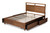 Saffron Modern and Contemporary Walnut Brown Finished Wood Queen Size 4-Drawer Platform Storage Bed MG0068-Walnut-4DW-Queen-Bed