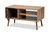 Yuna Mid-Century Modern Transitional Natural Brown Finished Wood and Black Metal 1-Door Coffee Table MAG-14-Natural/Black-CT