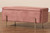 Rockwell Contemporary Glam and Luxe Blush Pink Velvet Fabric Upholstered and Gold Finished Metal Storage Bench FZD0223-Blush Pink Velvet-Bench
