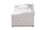 Becker Modern and Contemporary Transitional Beige Fabric Upholstered Twin Size Daybed with Trundle Becker-Beige-Daybed-T/T