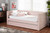 Larkin Modern and Contemporary Pink Velvet Fabric Upholstered Twin Size Daybed with Trundle CF9227-Pink Velvet Velvet-Daybed-T/T