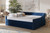 Raphael Modern and Contemporary Navy Blue Velvet Fabric Upholstered Full Size Daybed with Trundle CF9228 -Navy Blue Velvet-Daybed-F/T