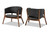 Baron Mid-Century Modern Dark Grey Fabric Upholstered and Walnut Brown Finished Wood 2-Piece Living Room Accent Chair Set RDC794S-AC-Dark Grey/Walnut-CC