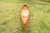 31.5" X 187.5" X 24" Wooden Canoe (364275)