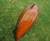 39.5" X 190" X 25.5" Traditional Wooden Canoe With Ribs (364289)