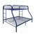 78" X 54" X 60" Twin Over Full Blue Metal Tube Bunk Bed (286574)