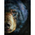 Grizzly Bear Gallery Wrap Wall Decor (11158276)