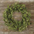 18" Green Leafy Wreath (Pack Of 3) (97945)