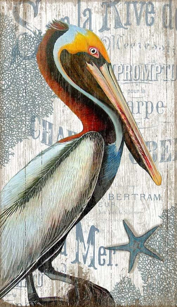 Colorful Pelican Xl Wall Decor (401575)
