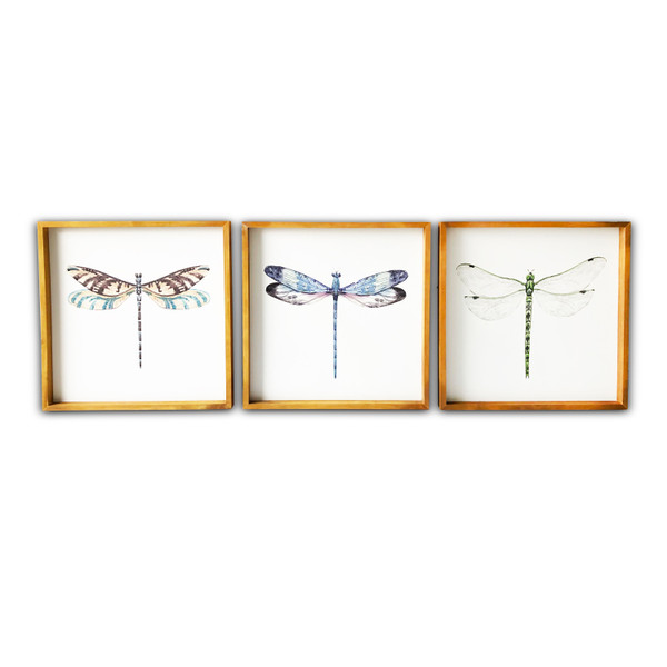 Set Of Three Dragonfly Wood Framed Canvas Wall Art (401744)