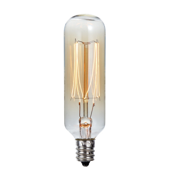 40W T Type Edison Style Incandescent Bulb (LB-7155-40W)