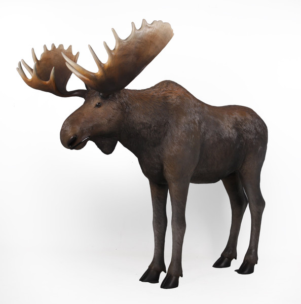 Moose - Sculpture (12010841)