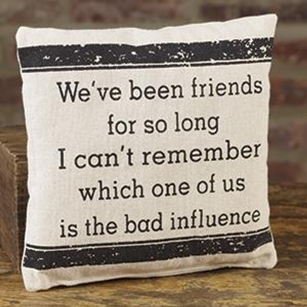 Small Canvas Friends/Influence Pillow (Pack Of 13) (98400)