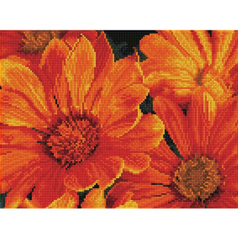 Delosperma in Bloom Diamond Painting Kit