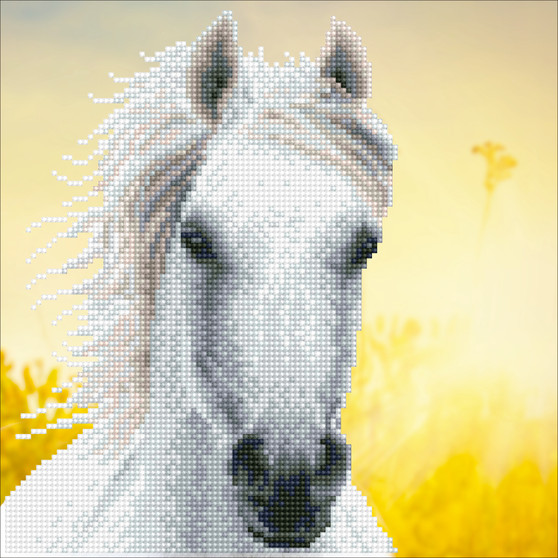 White Horse Diamond Painting Kit