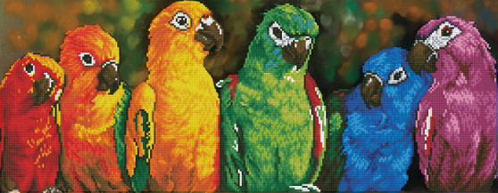 Rainbow Parrots Diamond Painting Kit