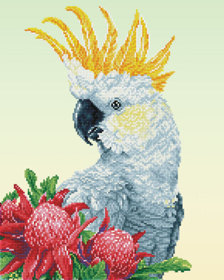 White Cockatoo & Warathas Diamond Dotz Diamond Painting Kit