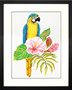 Hibiscus Macaw No Count Cross Stitch Kit