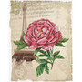Romantic Rose No Count Cross Stitch Kit
