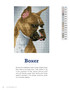 Freestyle Dog Breeds Booklet